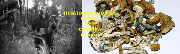 ECSTASY Каменка